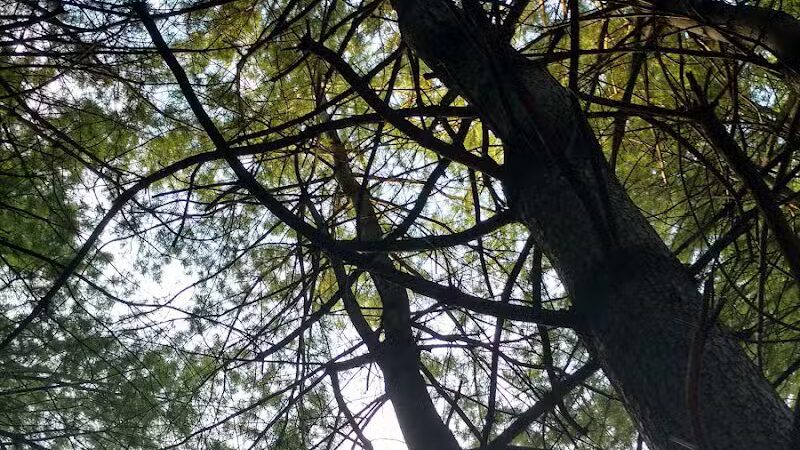 Independence Elmwood Park Office - Cleveland, OH