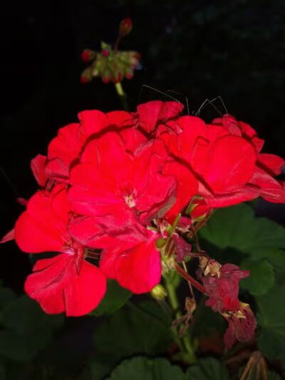 Independence Elmwood Park Office - Cleveland, OH