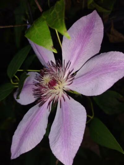 Independence Elmwood Park Office - Cleveland, OH