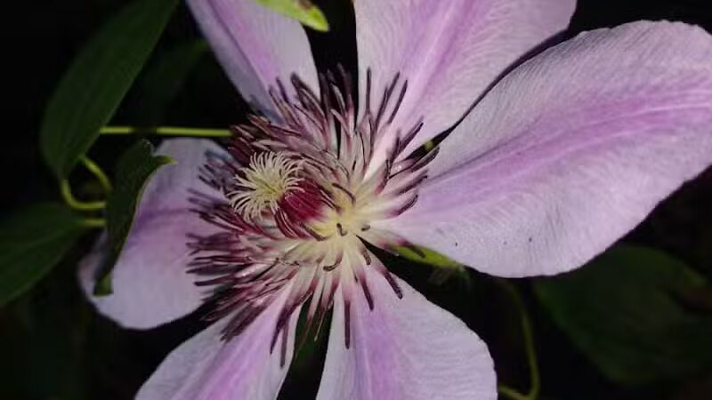 Independence Elmwood Park Office - Cleveland, OH