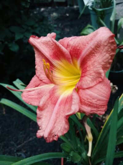 Independence Elmwood Park Office - Cleveland, OH