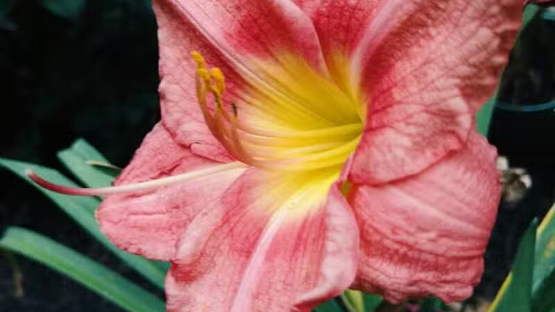 Independence Elmwood Park Office - Cleveland, OH