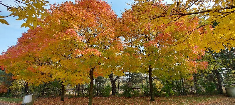 James M. Dunphy Park - Cleveland, OH