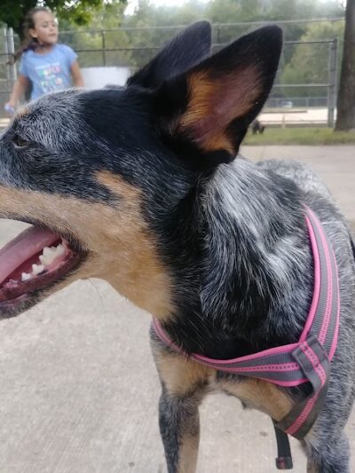 James M. Dunphy Park - Cleveland, OH