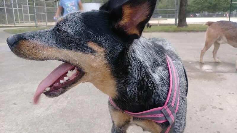 James M. Dunphy Park - Cleveland, OH