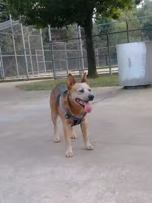 James M. Dunphy Park - Cleveland, OH