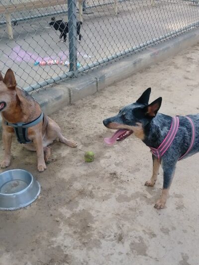 James M. Dunphy Park - Cleveland, OH