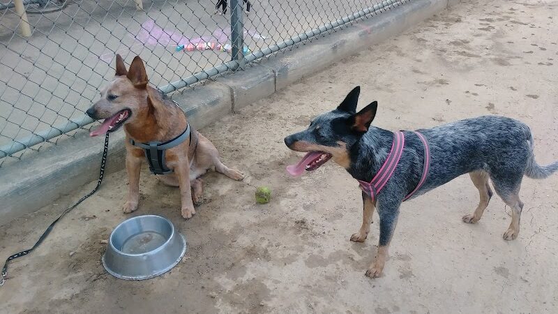 James M. Dunphy Park - Cleveland, OH