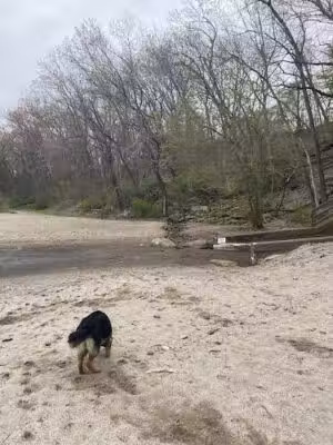 K-9 Coastline - Cleveland, OH