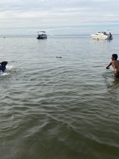 K-9 Coastline - Cleveland, OH