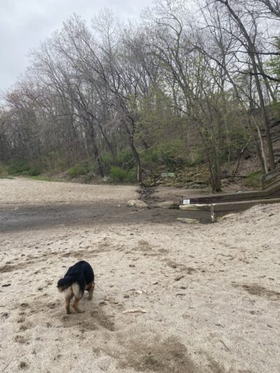 K-9 Coastline - Cleveland, OH