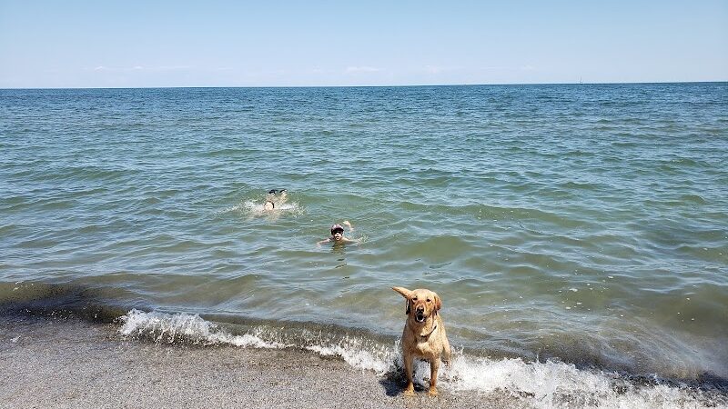 K-9 Coastline - Cleveland, OH