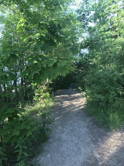 K-9 Coastline - Cleveland, OH