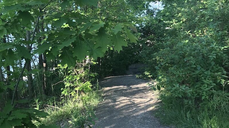 K-9 Coastline - Cleveland, OH