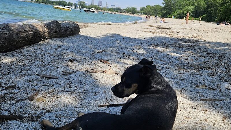 K-9 Coastline - Cleveland, OH
