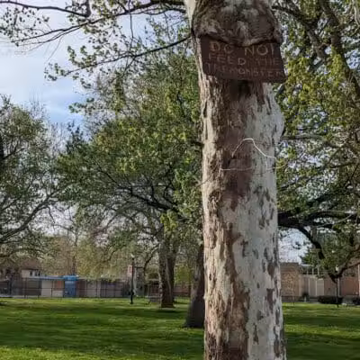 Lincoln Park - Cleveland, OH