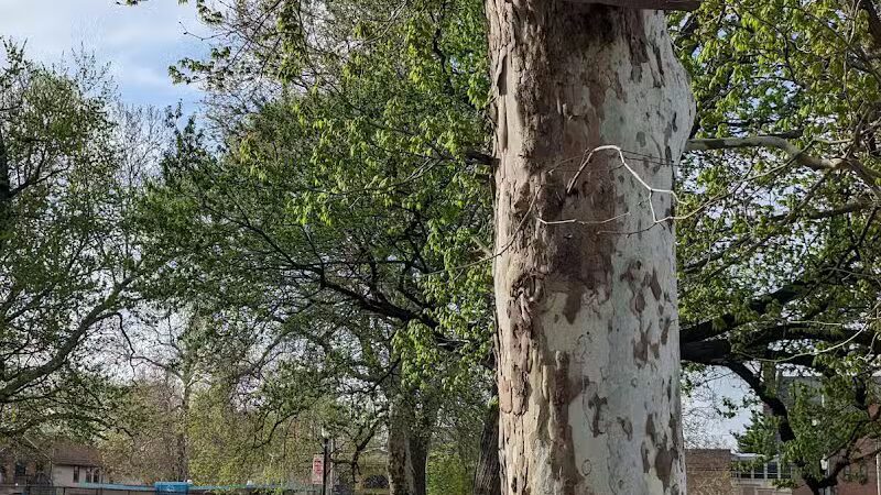 Lincoln Park - Cleveland, OH