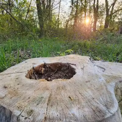 Mohican Park - Cleveland, OH