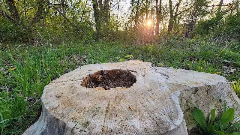 Mohican Park - Cleveland, OH