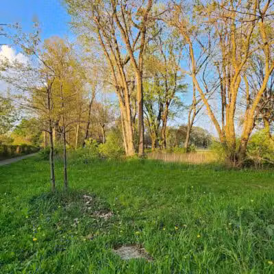 Mohican Park - Cleveland, OH