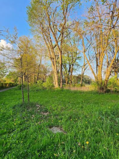 Mohican Park - Cleveland, OH