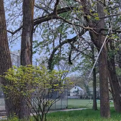 Mohican Park - Cleveland, OH