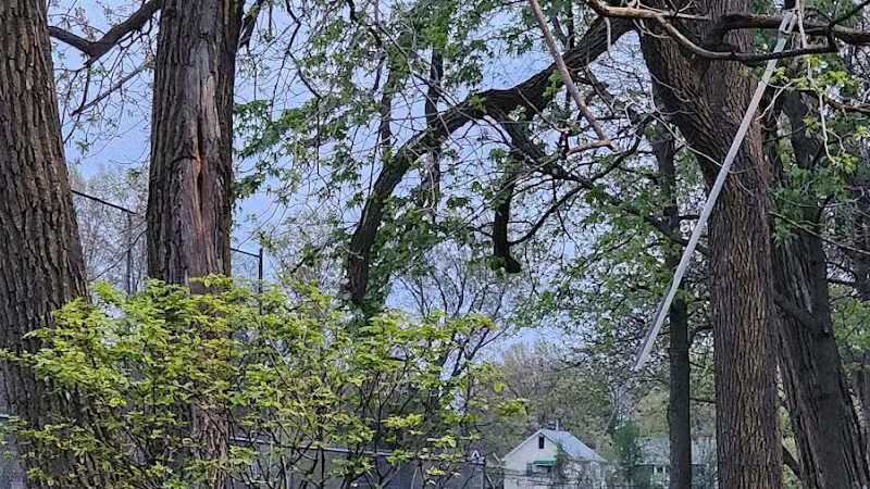 Mohican Park - Cleveland, OH