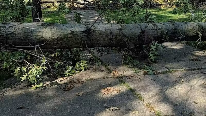 Mohican Park - Cleveland, OH