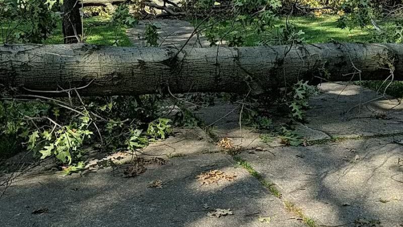 Mohican Park - Cleveland, OH