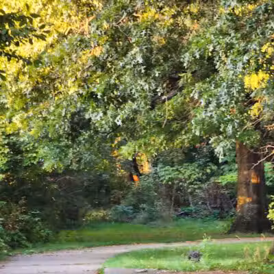 Mohican Park - Cleveland, OH