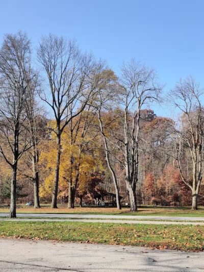 North Mastic Picnic Area, Rocky River Reservation - Cleveland, OH