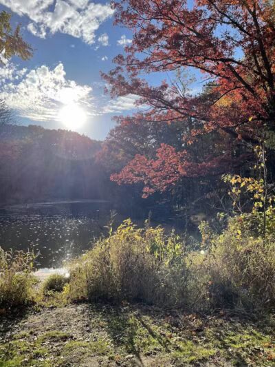 North Mastic Picnic Area, Rocky River Reservation - Cleveland, OH