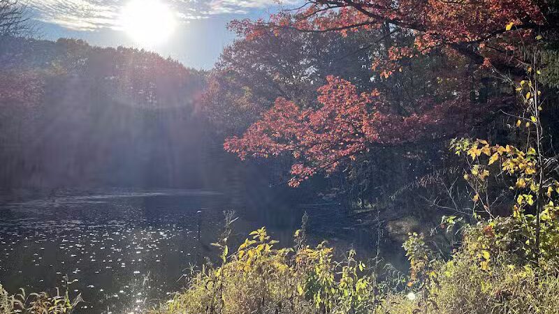 North Mastic Picnic Area, Rocky River Reservation - Cleveland, OH