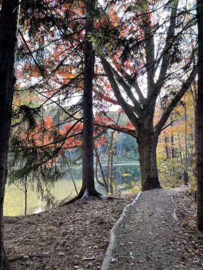 North Mastic Picnic Area, Rocky River Reservation - Cleveland, OH