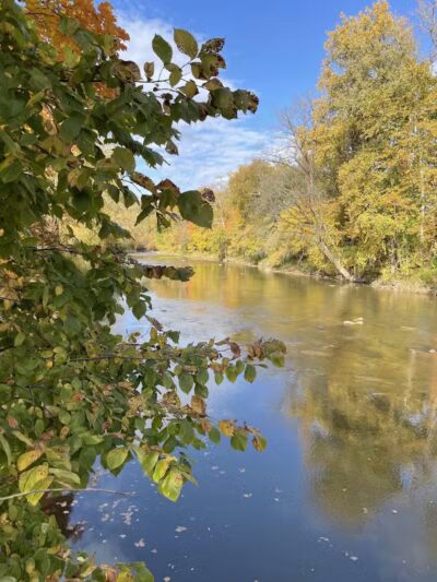 North Mastic Picnic Area, Rocky River Reservation - Cleveland, OH