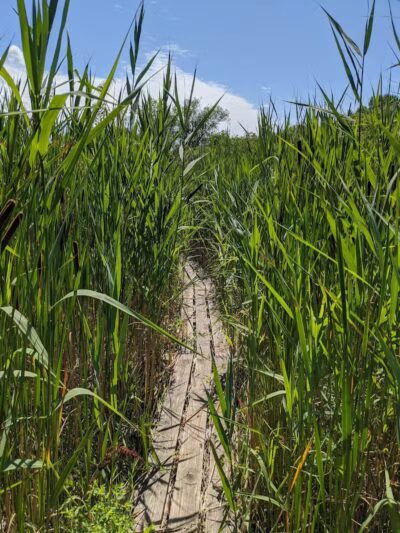 Ohio & Erie Canal Reservation - Cleveland, OH
