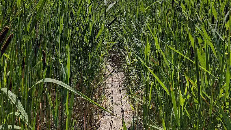 Ohio & Erie Canal Reservation - Cleveland, OH