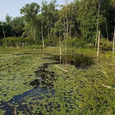 Ohio & Erie Canal Reservation - Cleveland, OH