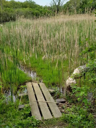 Ohio & Erie Canal Reservation - Cleveland, OH
