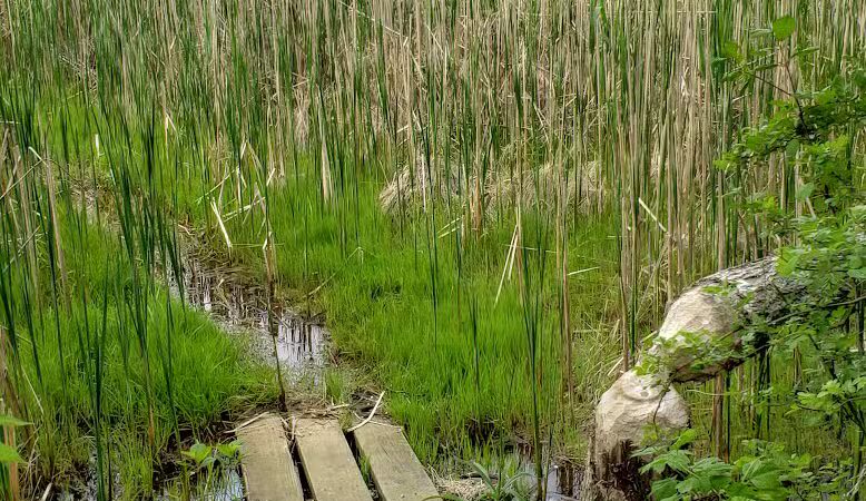 Ohio & Erie Canal Reservation - Cleveland, OH
