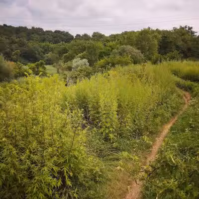 Ohio & Erie Canal Reservation - Cleveland, OH