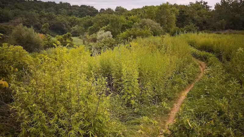 Ohio & Erie Canal Reservation - Cleveland, OH