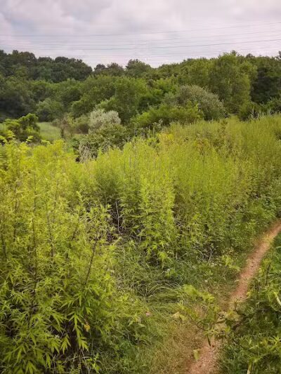 Ohio & Erie Canal Reservation - Cleveland, OH