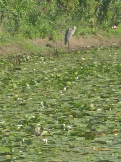 Ohio & Erie Canal Reservation - Cleveland, OH