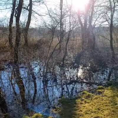 Ohio to Erie Trail, Harvard Ave Trailhead - Cleveland, OH