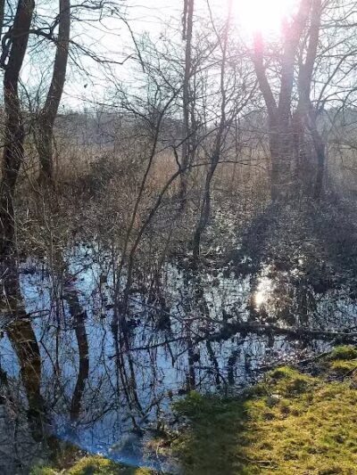 Ohio to Erie Trail, Harvard Ave Trailhead - Cleveland, OH