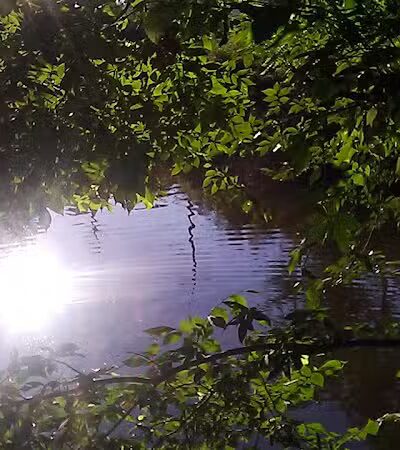 Ohio to Erie Trail, Harvard Ave Trailhead - Cleveland, OH