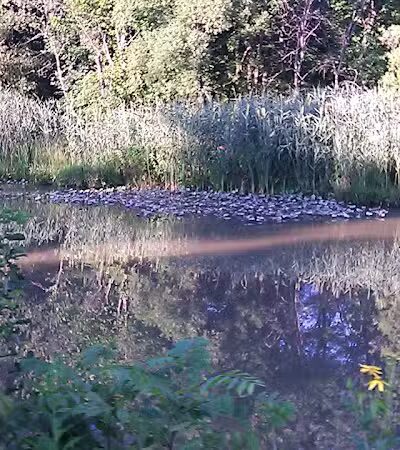 Ohio to Erie Trail, Harvard Ave Trailhead - Cleveland, OH