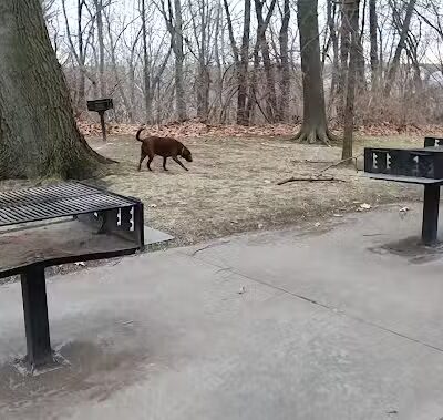 Settler’s Bluff Picnic Area - Cleveland, OH