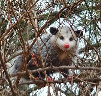 Settler’s Bluff Picnic Area - Cleveland, OH